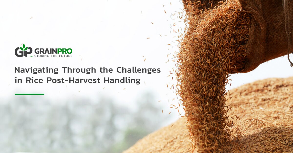 News & Resources GrainPro Drying